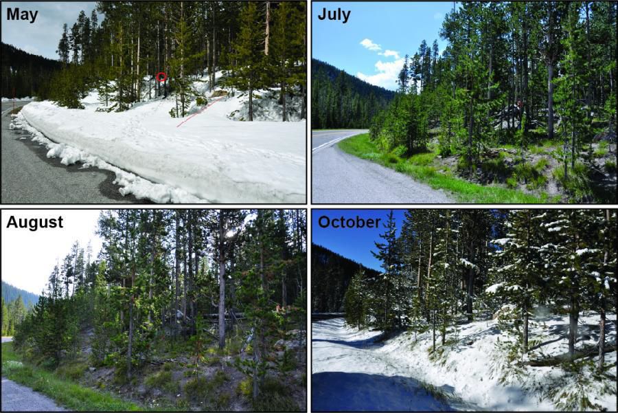 Seasonal change